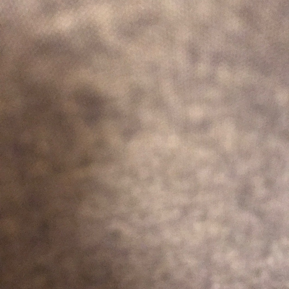 Meet your Posher, Francis